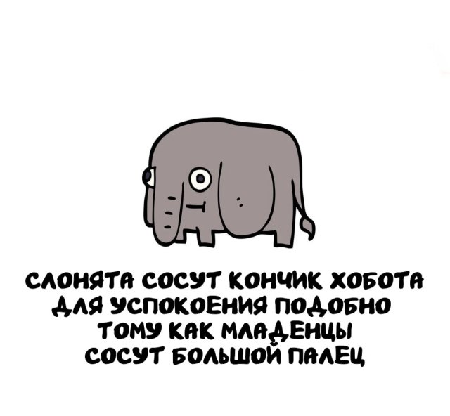 Интересные факты на все случаи жизни