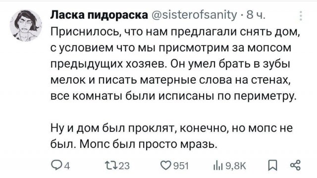 Лучшие шутки и мемы из Сети - 11.07.2025
