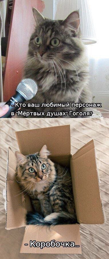 Лучшие шутки и мемы из Сети - 11.07.2025