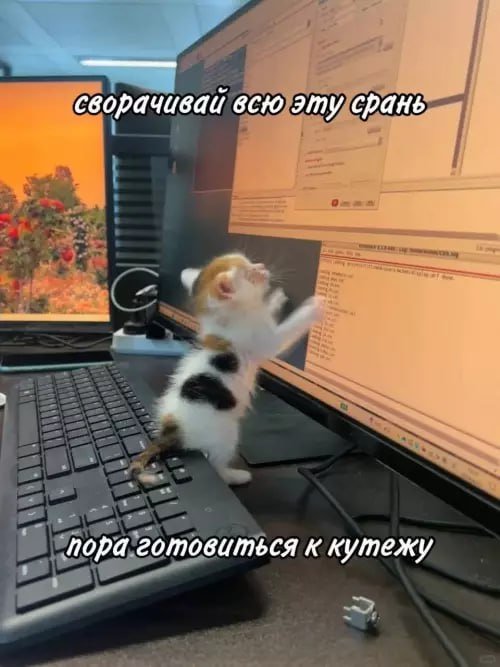 Лучшие шутки и мемы из Сети - 11.07.2025