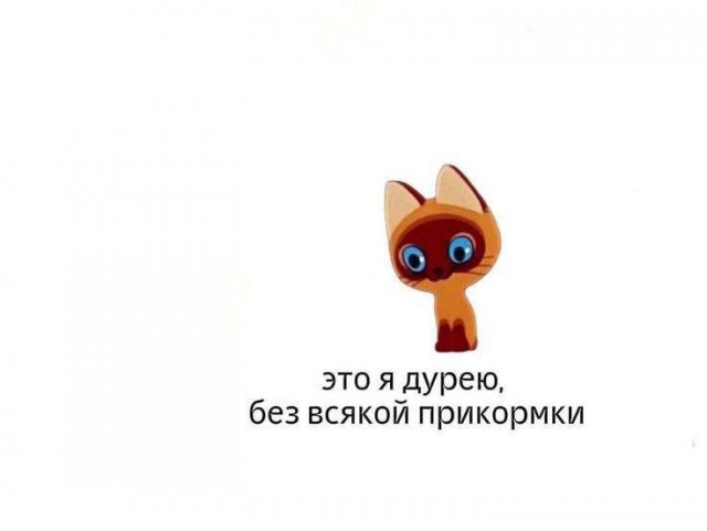 Лучшие шутки и мемы из Сети - 11.07.2025