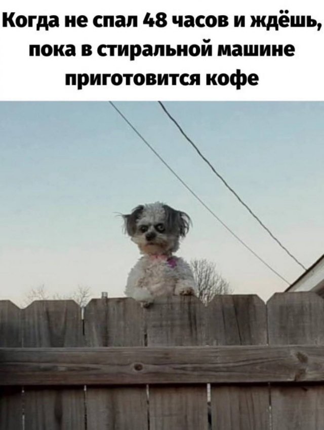 Лучшие шутки и мемы из Сети - 11.07.2025