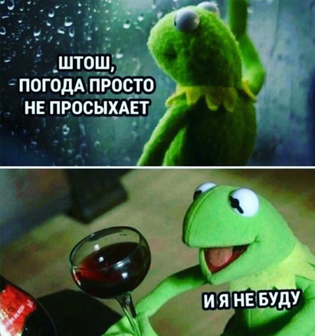 Смешные мемы - 14.07.2025