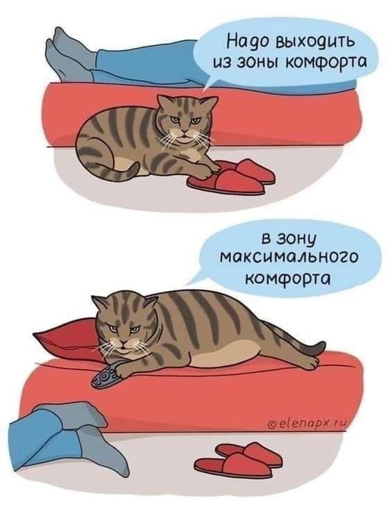 Смешные мемы - 14.07.2025