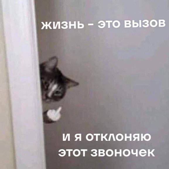 Смешные мемы - 14.07.2025