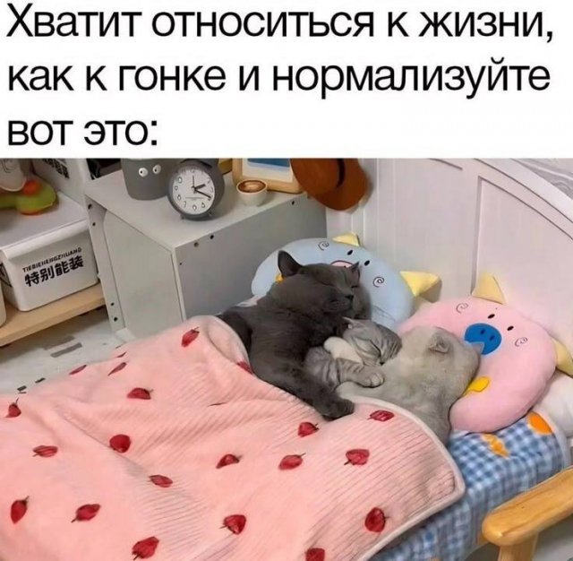 Смешные мемы - 14.07.2025
