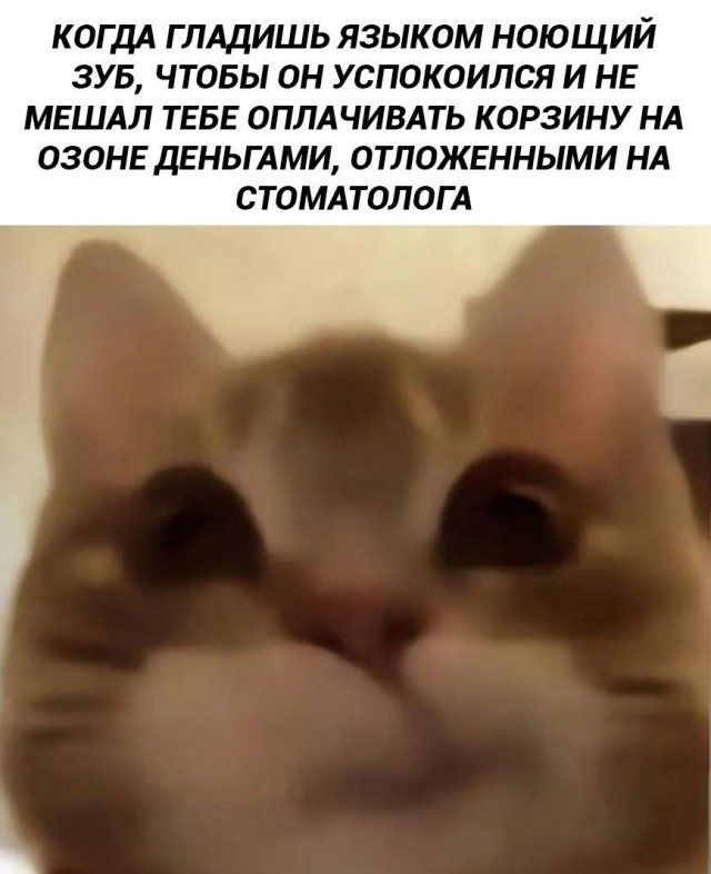 Смешные картинки - 14.07.2025