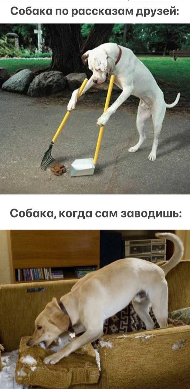 Смешные картинки - 14.07.2025