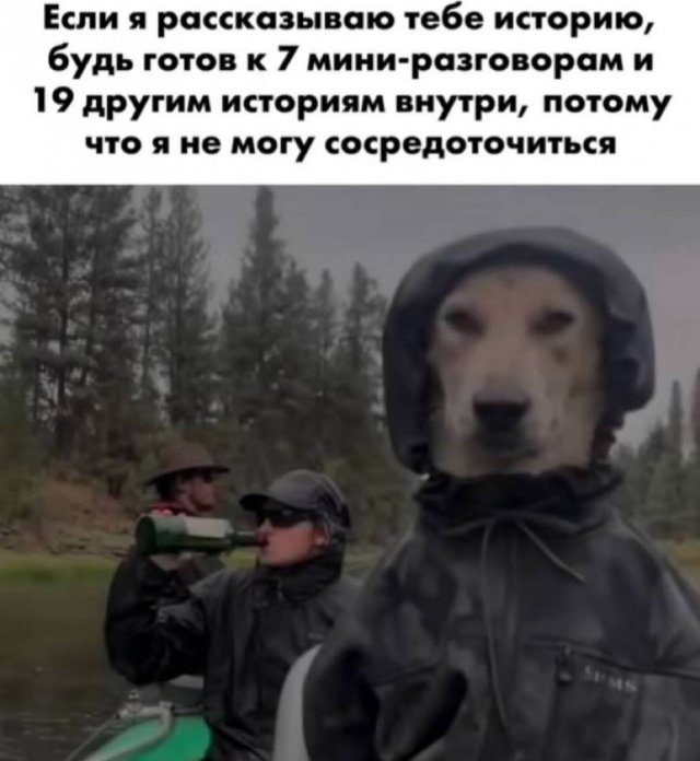Смешные картинки - 14.07.2025