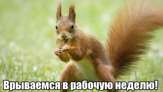 Трынделка - 14.07.2025