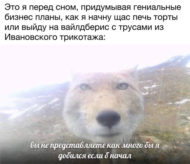 Лучшие шутки и мемы из Сети - 14.07.2025