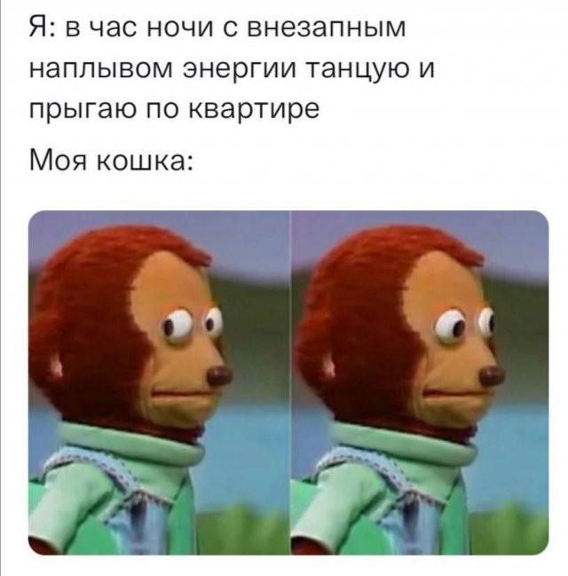 Лучшие шутки и мемы из Сети - 14.07.2025