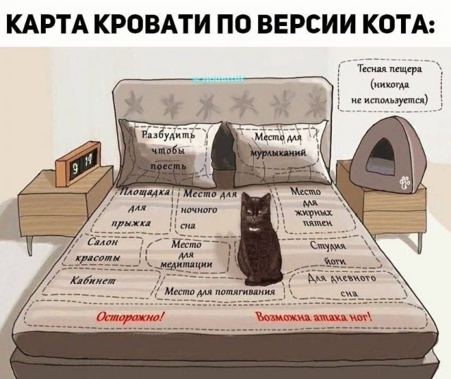 Смешные мемы - 15.07.2025
