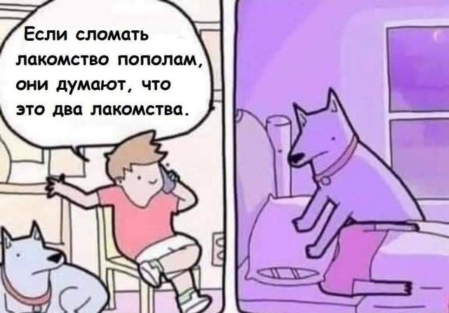 Смешные мемы - 15.07.2025