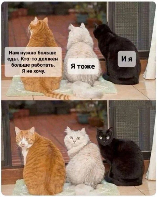 Смешные мемы - 15.07.2025