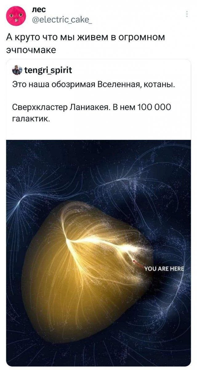 Подборка забавных твитов обо всем