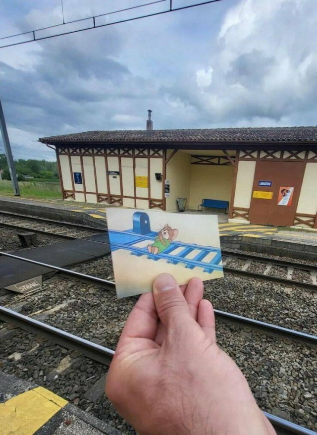 Подборка картинок. Вечерний выпуск - 15.07.2025