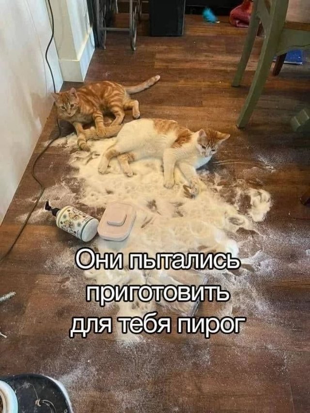 Лучшие шутки и мемы из Сети - 15.07.2025