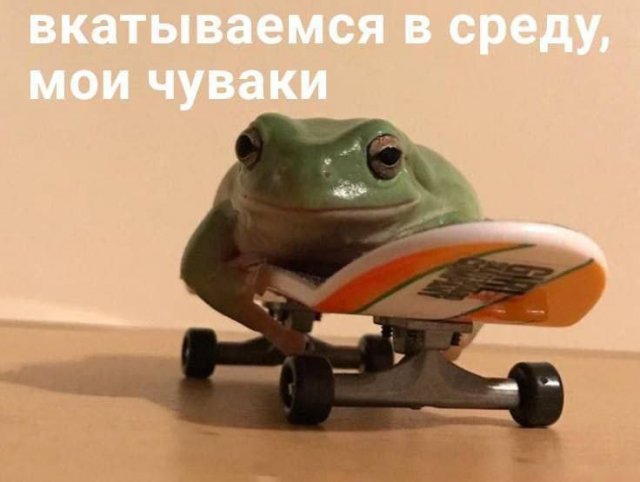 Лучшие шутки и мемы из Сети - 15.07.2025