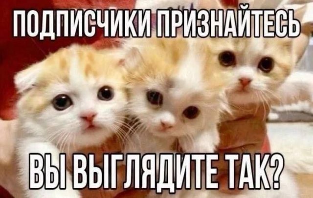 Лучшие шутки и мемы из Сети - 15.07.2025