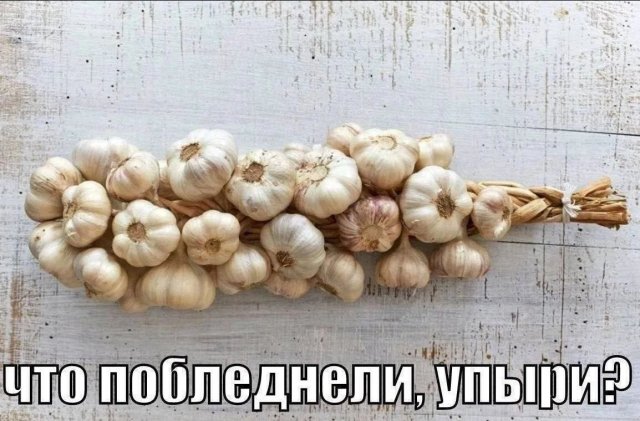 Лучшие шутки и мемы из Сети - 15.07.2025