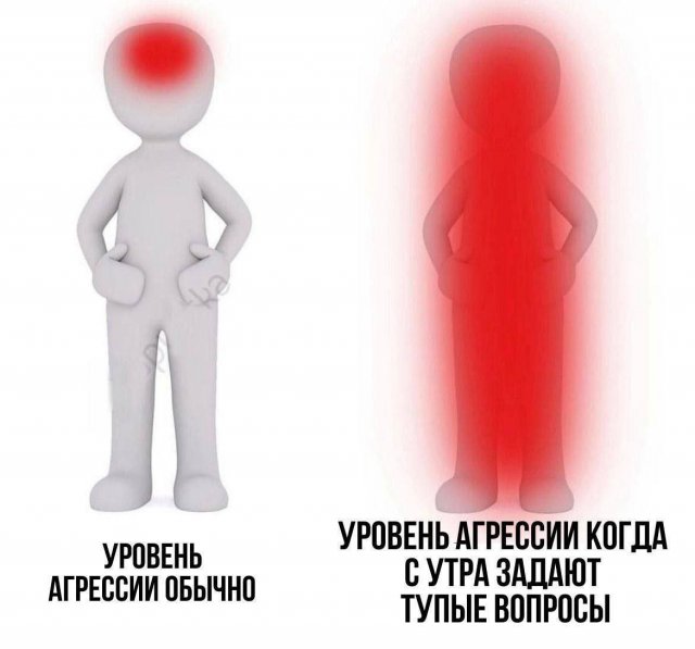 Лучшие шутки и мемы из Сети - 15.07.2025