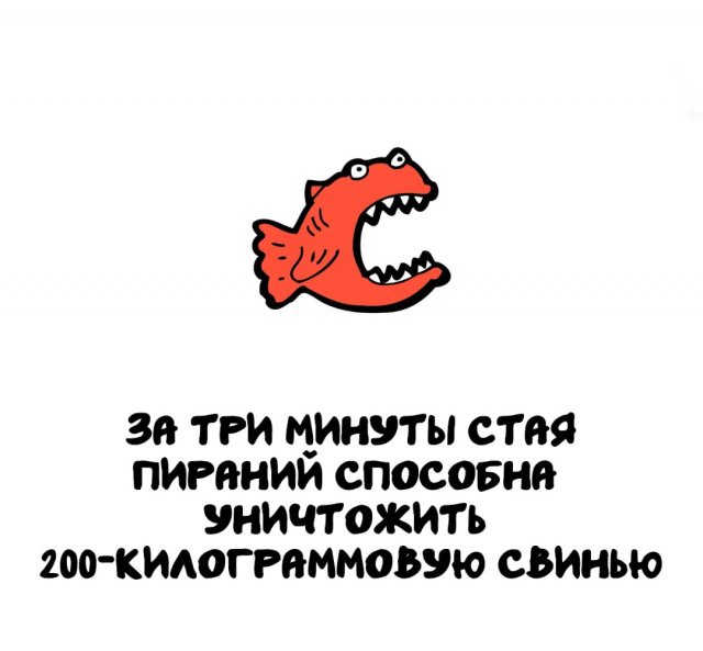 Интересные факты на все случаи жизни