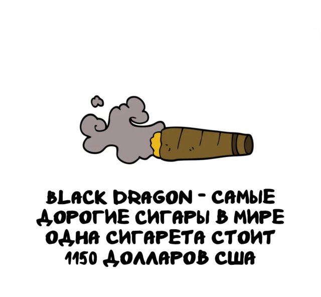 Интересные факты на все случаи жизни
