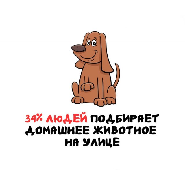 Интересные факты на все случаи жизни
