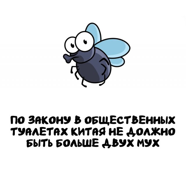 Интересные факты на все случаи жизни