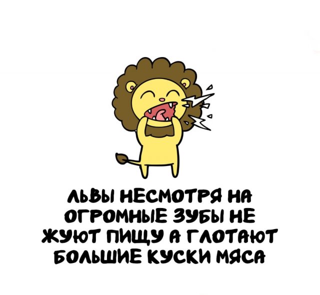 Интересные факты на все случаи жизни