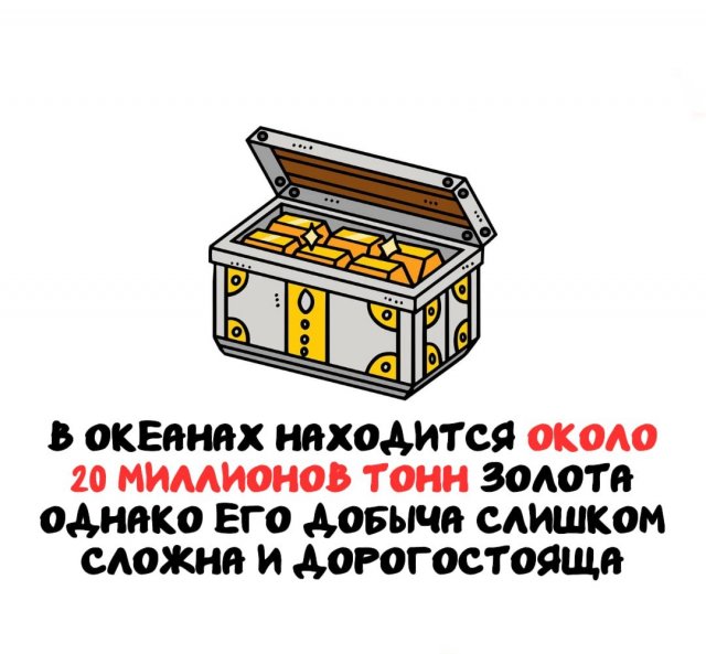Интересные факты на все случаи жизни