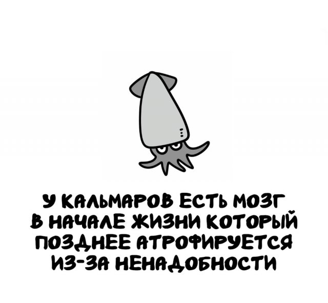 Интересные факты на все случаи жизни