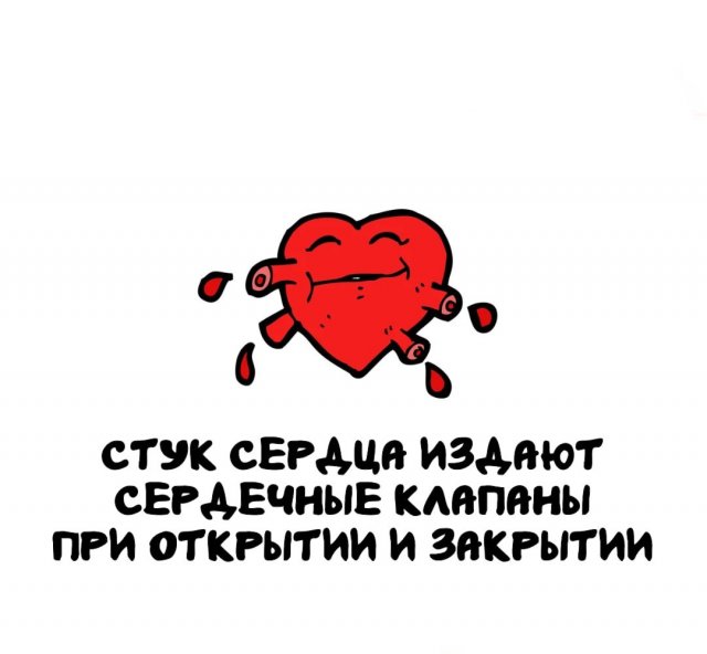 Интересные факты на все случаи жизни