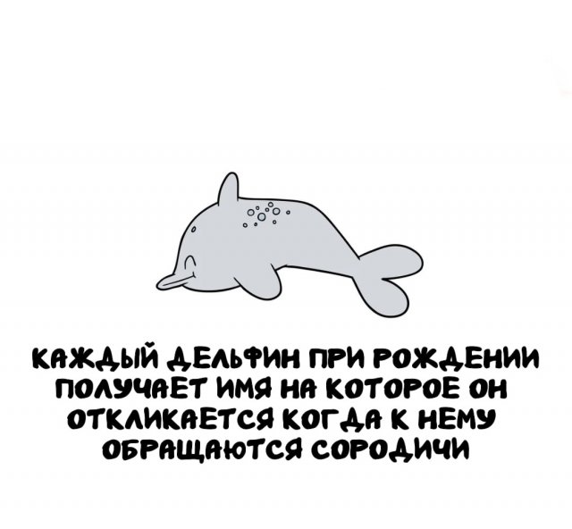 Интересные факты на все случаи жизни