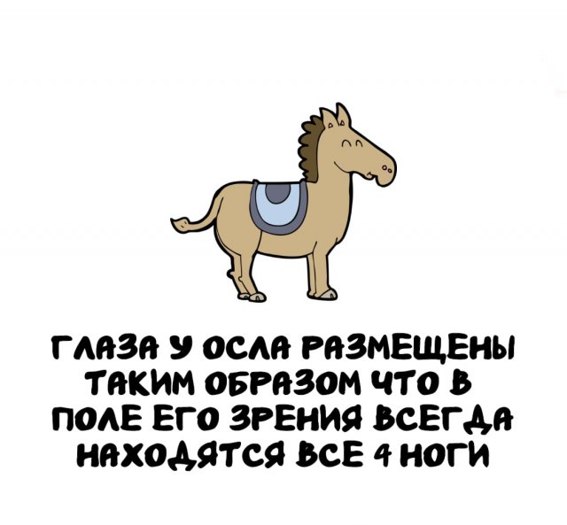 Интересные факты на все случаи жизни
