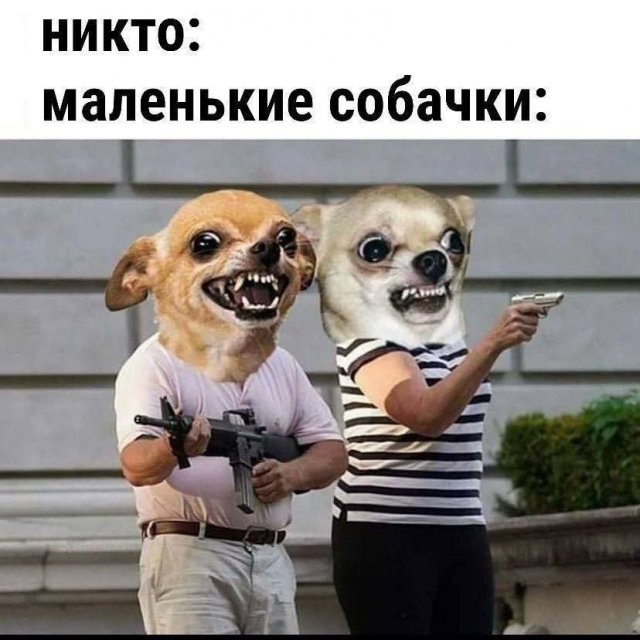 Лучшие шутки и мемы из Сети - 16.07.2025