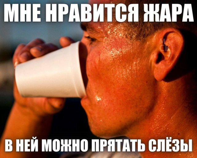 Лучшие шутки и мемы из Сети - 16.07.2025