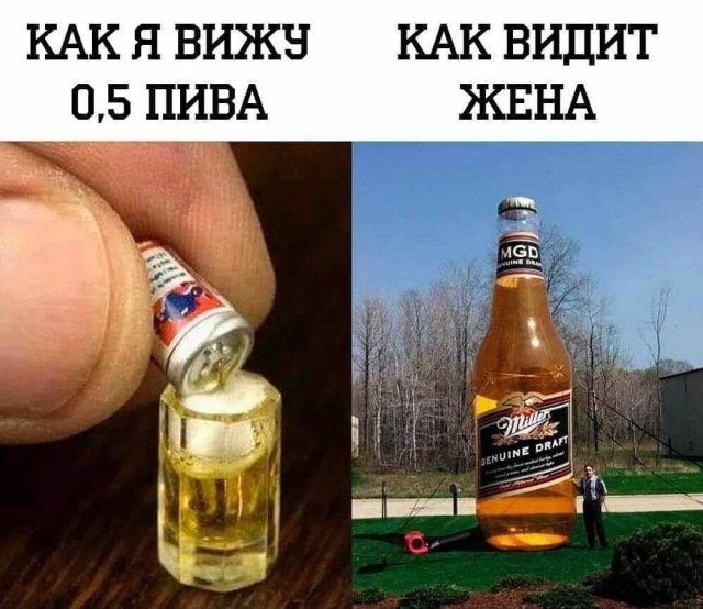 Лучшие шутки и мемы из Сети - 16.07.2025