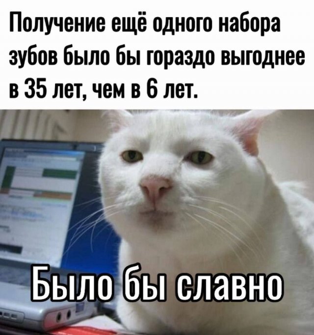 Лучшие шутки и мемы из Сети - 16.07.2025