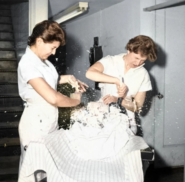 Нью-йоркская школы парикмахеров, 1959 год. Нью-йоркская школы парикмахеров, 1959 год.