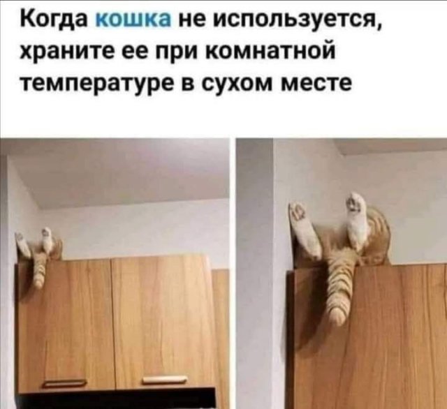 Смешные мемы - 17.07.2025