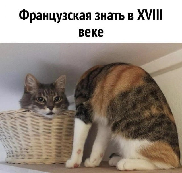 Смешные мемы - 17.07.2025