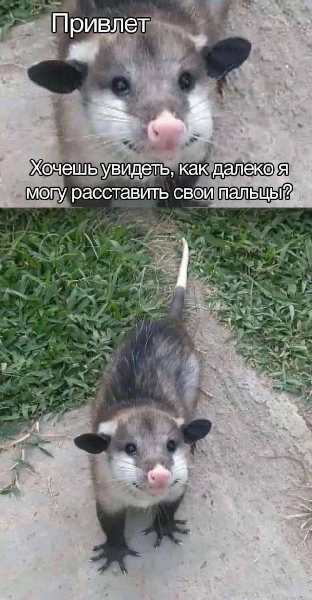 Смешные мемы - 17.07.2025