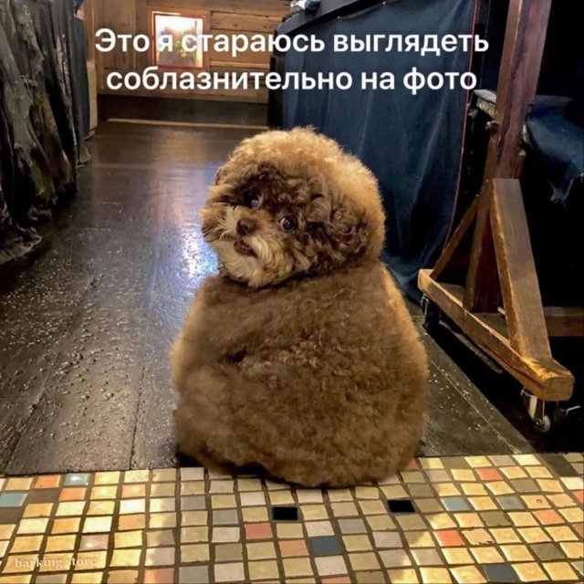 Смешные мемы - 17.07.2025