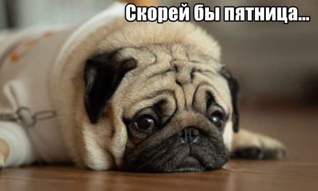 Трынделка - 17.07.2025