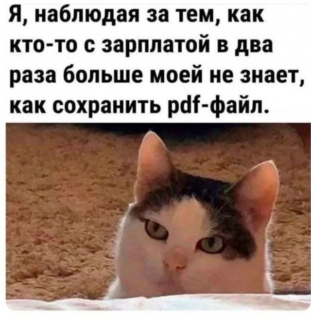 Смешные картинки - 17.07.2025