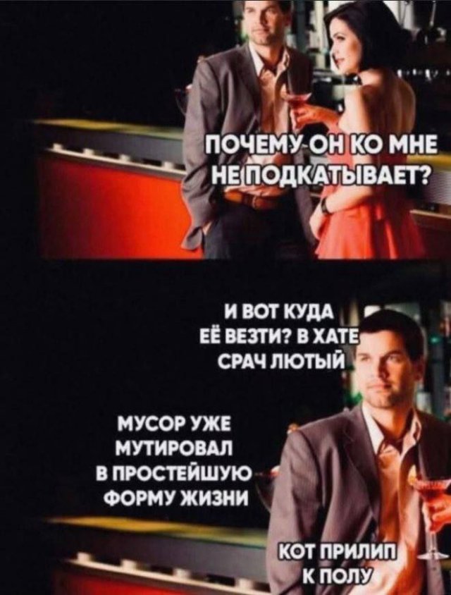 Лучшие шутки и мемы из Сети - 17.07.2025
