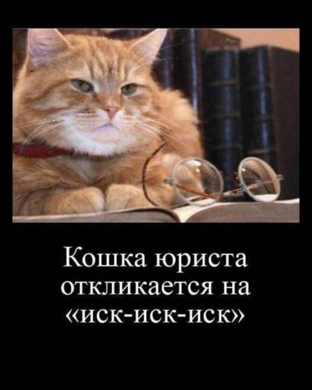 Лучшие шутки и мемы из Сети - 17.07.2025