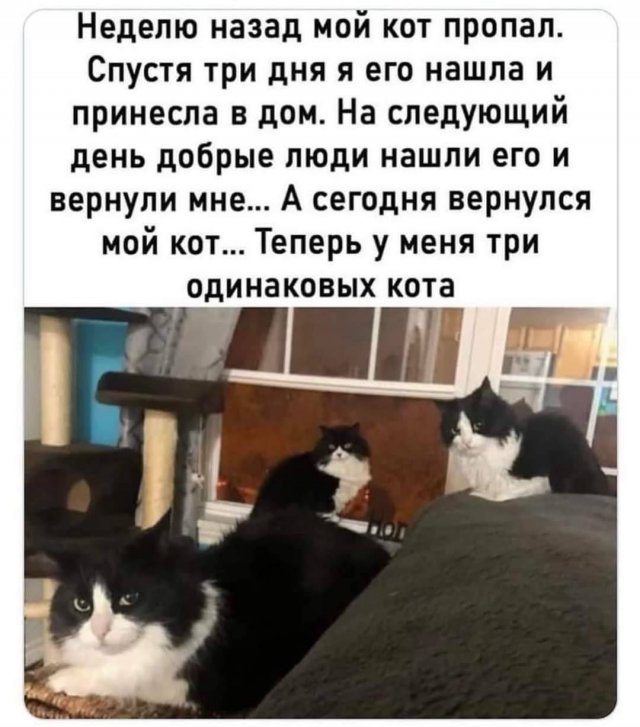 Лучшие шутки и мемы из Сети - 17.07.2025